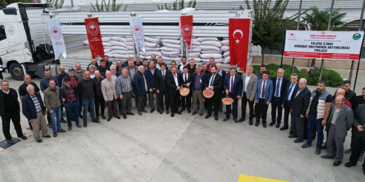 Yalovalı çiftçilere buğday ve arpa tohumu dağıtıldı