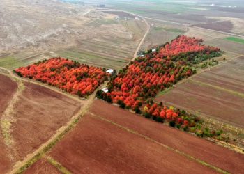 Bozkırın ortasında mest eden manzara