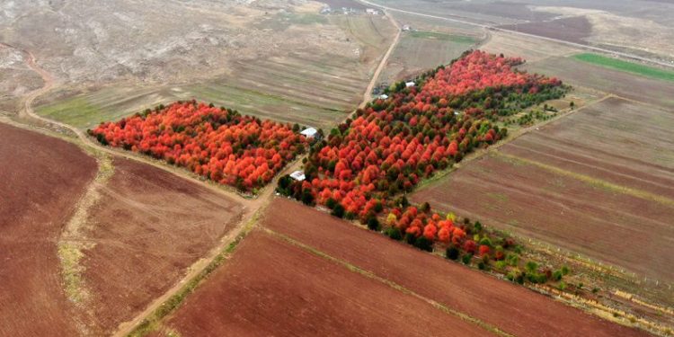 Bozkırın ortasında mest eden manzara