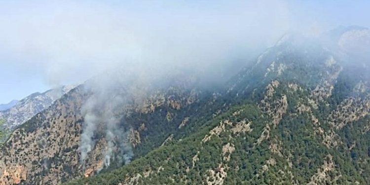 Osmaniye’de yangın söndürme çalışmaları sürüyor