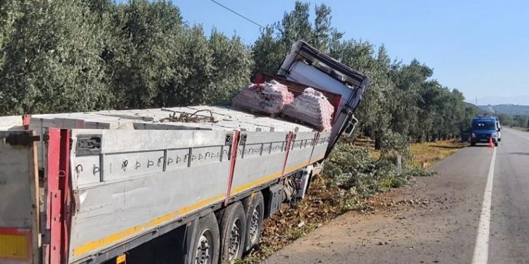 Bursa’da TIR zeytin bahçesine daldı