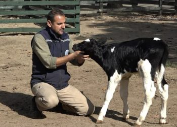 Bursa’da ismini hayvanseverler koydu