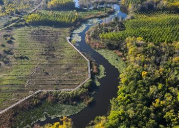 Acarlar Longozu ziyaretçilerini sonbahar renkleriyle karşılıyor