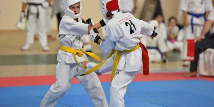 Bursa Yıldırım’da karate müsabakaları