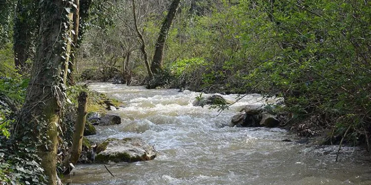 Nilüfer Çayı için yol haritası hazırlanıyor