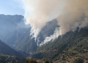 Osmaniye 3 gündür yanıyor! Karadan müdahale başladı