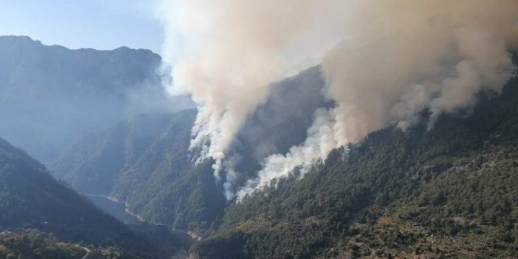 Osmaniye 3 gündür yanıyor! Karadan müdahale başladı