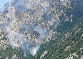Osmaniye Düziçi’nde orman yangını