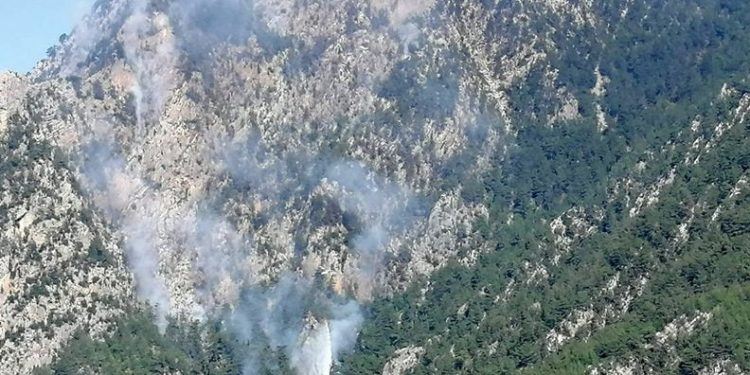 Osmaniye Düziçi’nde orman yangını