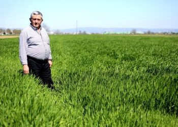 “Çiftçi alın terinin karşılığını aldı”