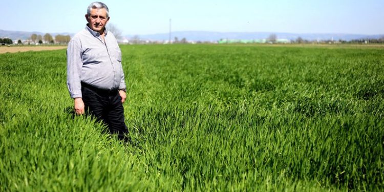 “Çiftçi alın terinin karşılığını aldı”