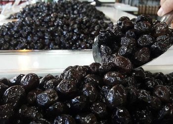 Marmarabirlik ürün alım fiyatlarını açıkladı