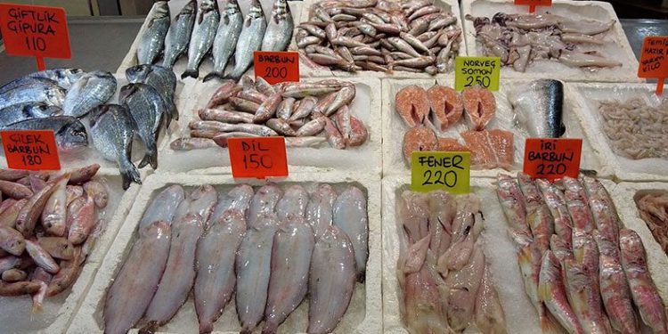Balık fiyatları yarı yarıya düştü