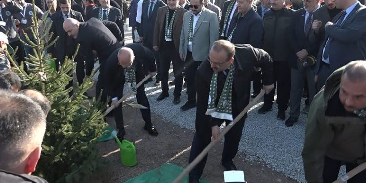 50 bin fidan toprakla buluştu