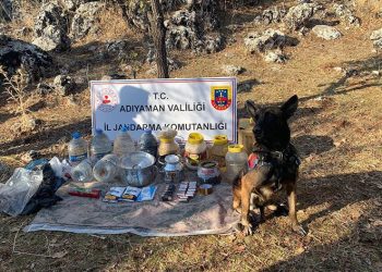 Toprağa gömülü yaşam malzemeleri bulundu