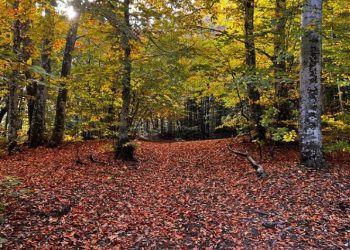 Kırık fay hattından hazan güzelliğine