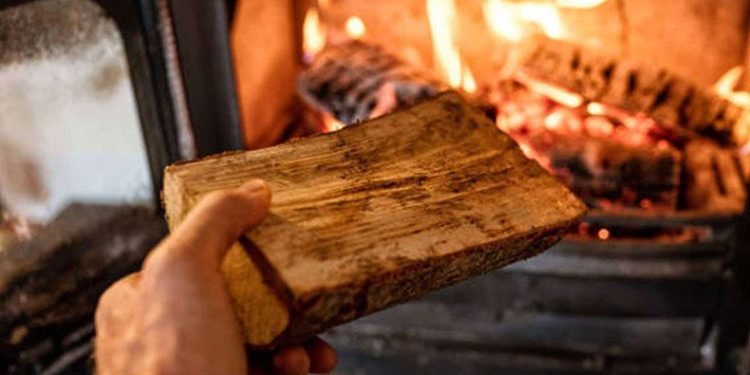 Anne ve oğlu sobadan zehirlendi