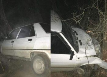 Yoldan çıktı, ağaçlara çarparak durabildi