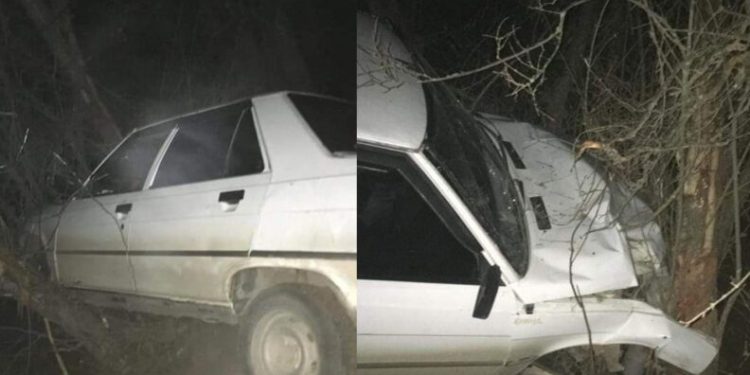 Yoldan çıktı, ağaçlara çarparak durabildi