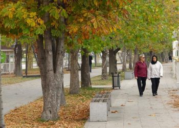 Sonbahar yapraklarının süpürülmesi yasaklandı