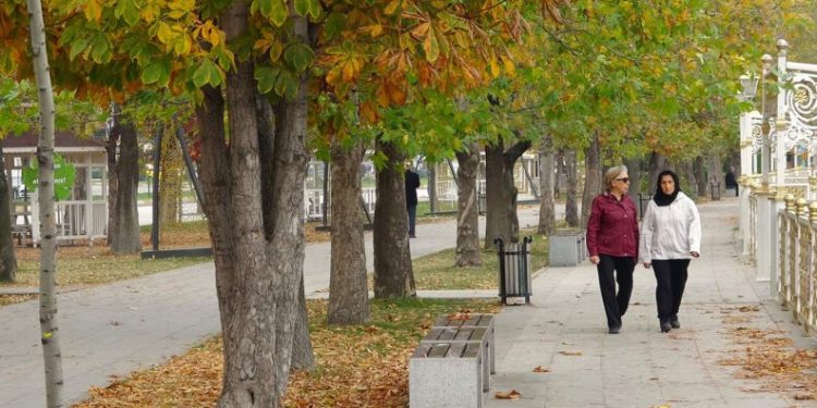 Sonbahar yapraklarının süpürülmesi yasaklandı