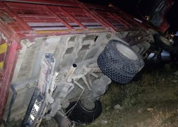 Odun yüklü kamyonet devrildi