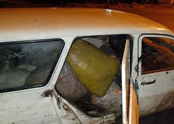 Zeytin hırsızları jandarmadan kaçamadı