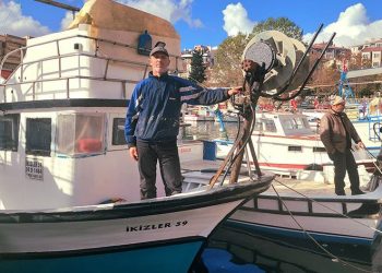 Lodos esareti bitti: Balıkçılar yeniden denizlerde