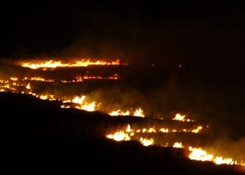 Kuş cenneti 4 gündür alev alev yanıyor
