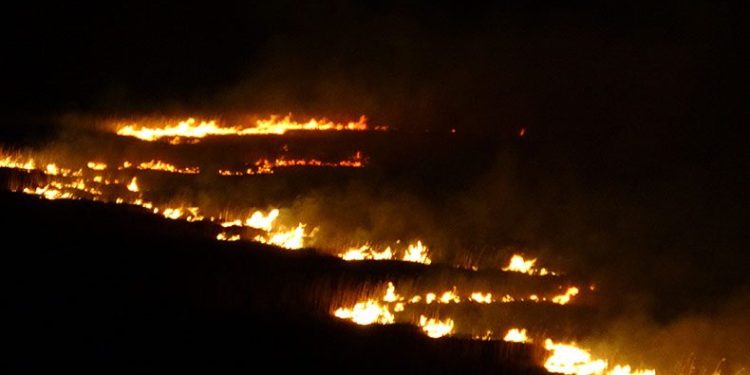 Kuş cenneti 4 gündür alev alev yanıyor