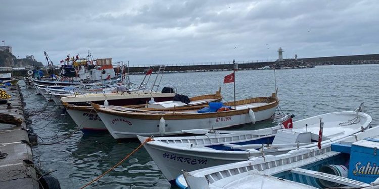 Balıkçılar hamsiden umutsuz