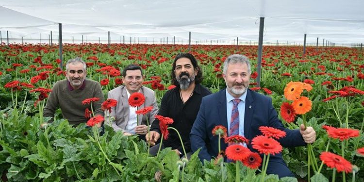 Dünya’nın çiçeği Kepez’den