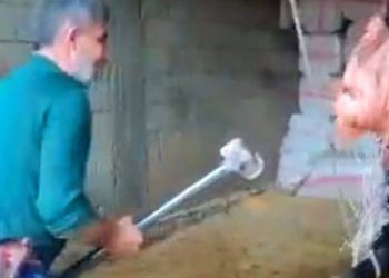 Boğanın kafasına balyozla vuran kasap gözaltına alındı