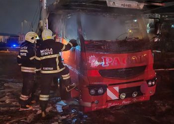 Park halindeki kamyon kundaklandı