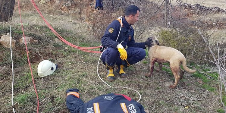 Kurtarmak için zamanla yarıştılar