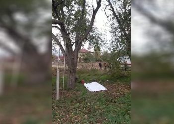 Feci kaza: kestiği ağaç sonu oldu