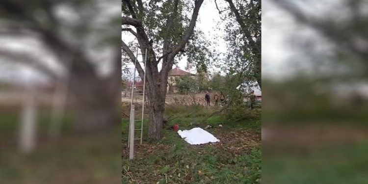 Feci kaza: kestiği ağaç sonu oldu