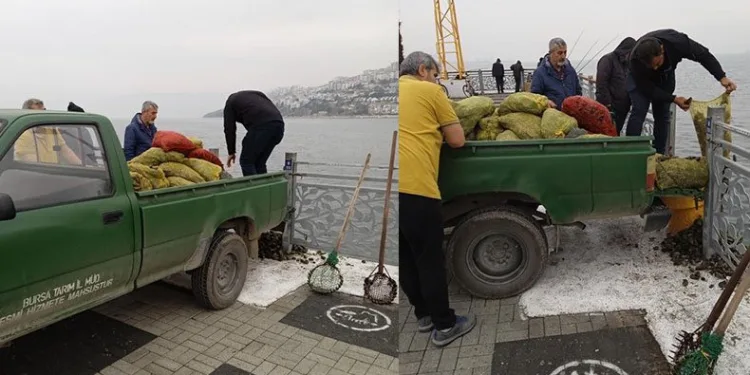 Kaçak midye avcılarına operasyon