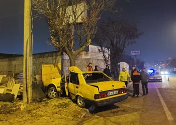 Bursa’da, ağaca çarpan otomobil ikiye bölündü