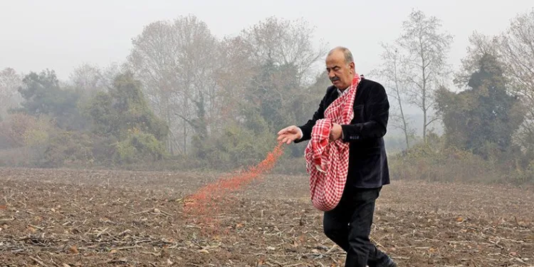 Mudanya buğday tohumlarını toprakla buluşturdu