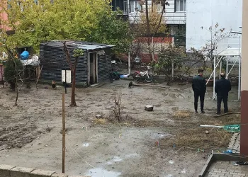 Kömürlüğe giren anne kahroldu