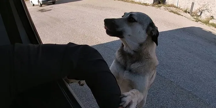 İnsanın içini ısıtan buluşma