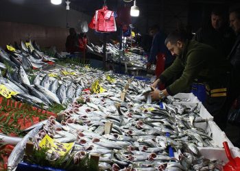 Hava soğudu, ‘çinekop’ bereketi yaşandı