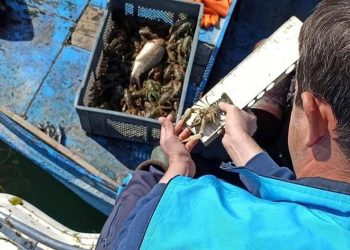 Isparta’da kerevit avı yasağı başladı