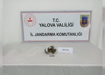 Yalova’da jandarmadan uyuşturucu operasyonları