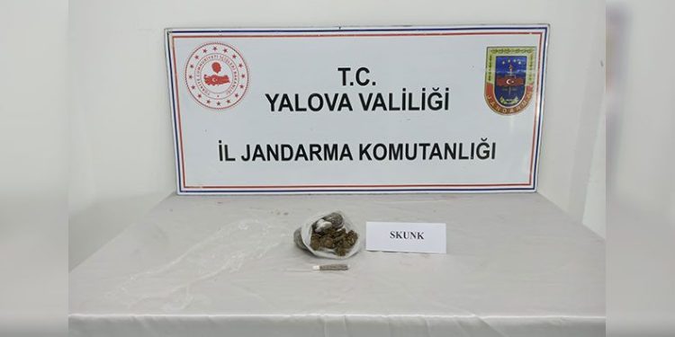 Yalova’da jandarmadan uyuşturucu operasyonları