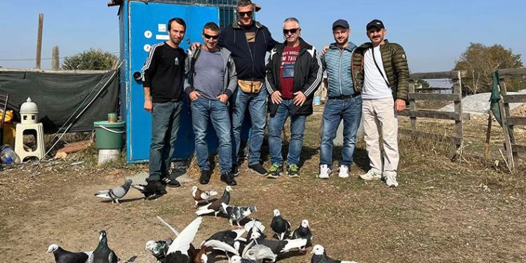 Güvercinlerin performansı tam not aldı