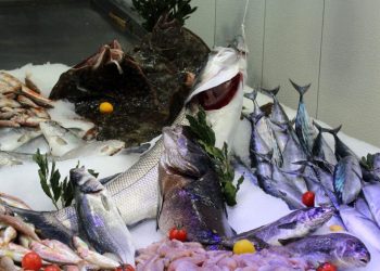 Balığın fiyatı dudak uçuklattı