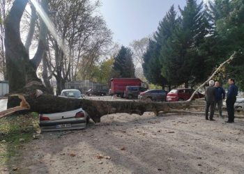 Facianın eşiğinden döndü