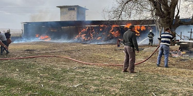 Bursa’da, ahırda korkutan yangın